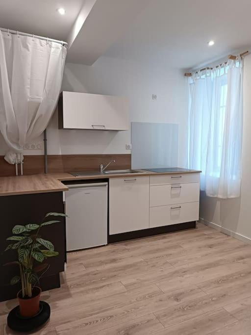 Apartamento T2 Ultra Cosy En Hypercentre Tarare Exterior foto